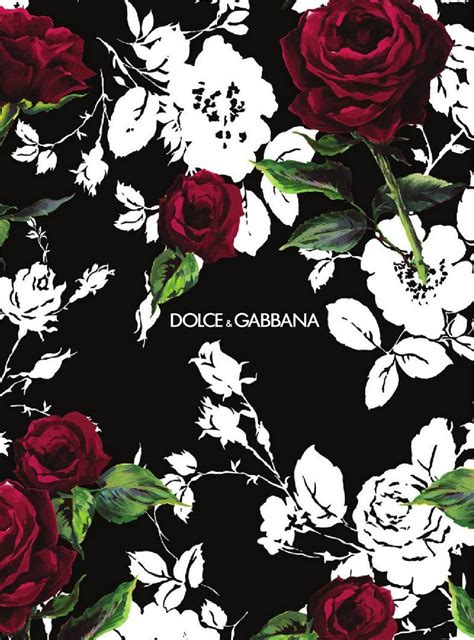 dolce gabbana wallpapers